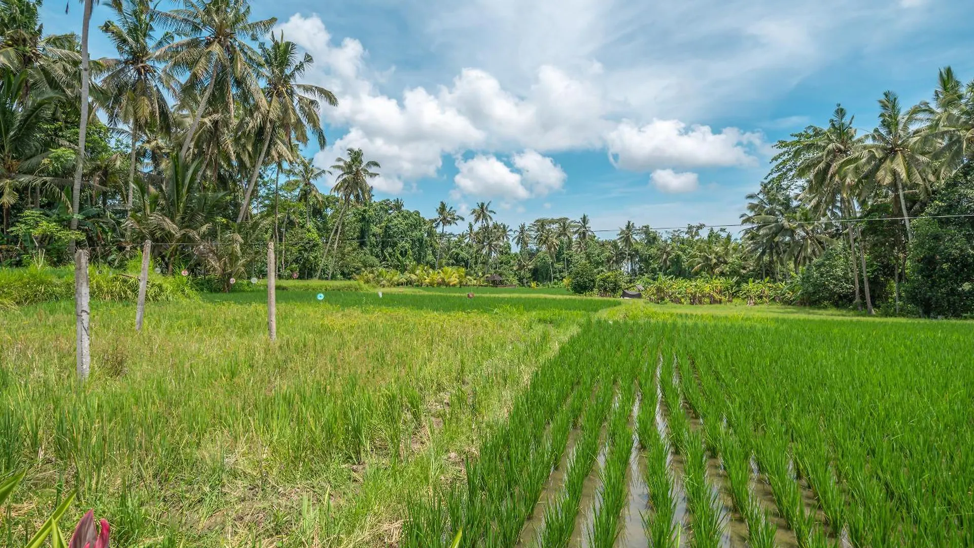 Villa Xanadu - Epic 5Br Villa, Unreal Views & Large Pool! Ubud